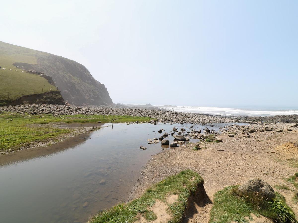 Swallow Cottage Bude Εξωτερικό φωτογραφία